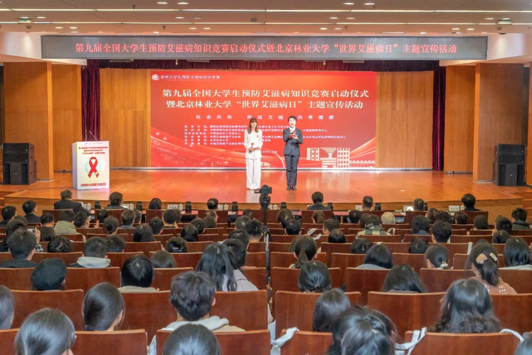 1733044943969738.png 0001.png